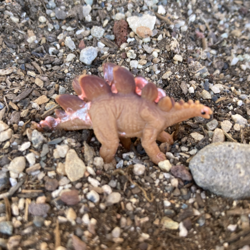 Photo of a small plastic stegosaurus dinosaur toy on the ground