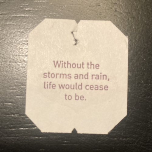 A tea bag label printed with the words 