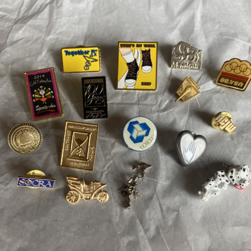 Photo of sixteen pins
